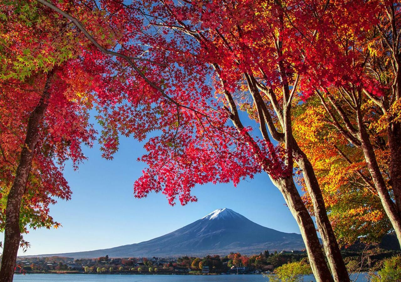 Villa 富士山金魚 Fujisan Kingyo Fujikawaguchiko Exterior foto